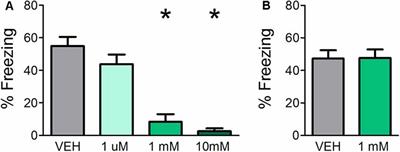 Olfactory Bulb Muscarinic Acetylcholine Type 1 Receptors Are Required for Acquisition of Olfactory Fear Learning